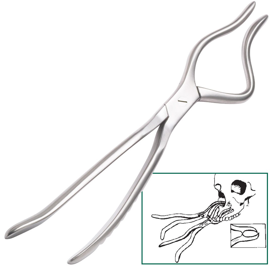 Rowe Maxillary Disimpaction Forcep, adult, left