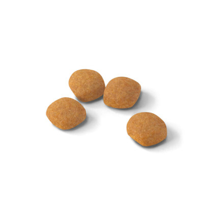 Protein Exigent kibble