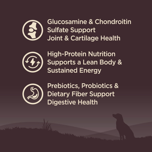 The benifts of Wellness CORE Grain Free Senior Turkey Recipe