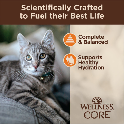 The benifts of Wellness CORE Tiny Tasters Minced Chicken