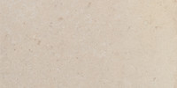 Tuscany Ivory 8×16 Field Tile Matte