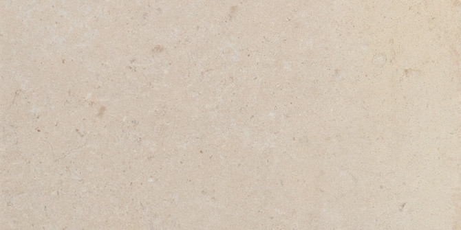 Tuscany Ivory 8×16 Field Tile Matte