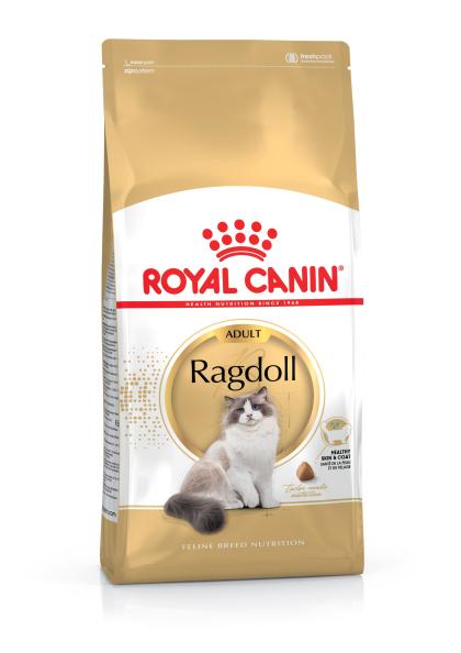 Ragdoll Adult