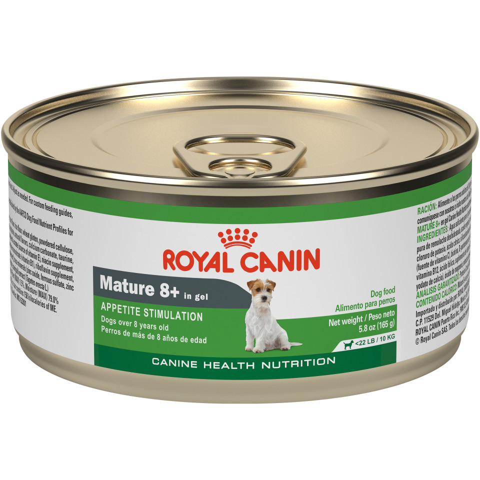 Aging Dog Food - Royal Canin