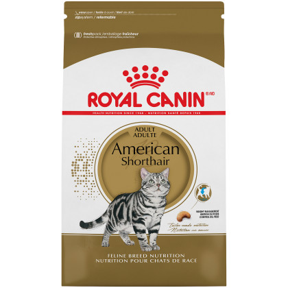 American Shorthair Adult Dry Cat Food