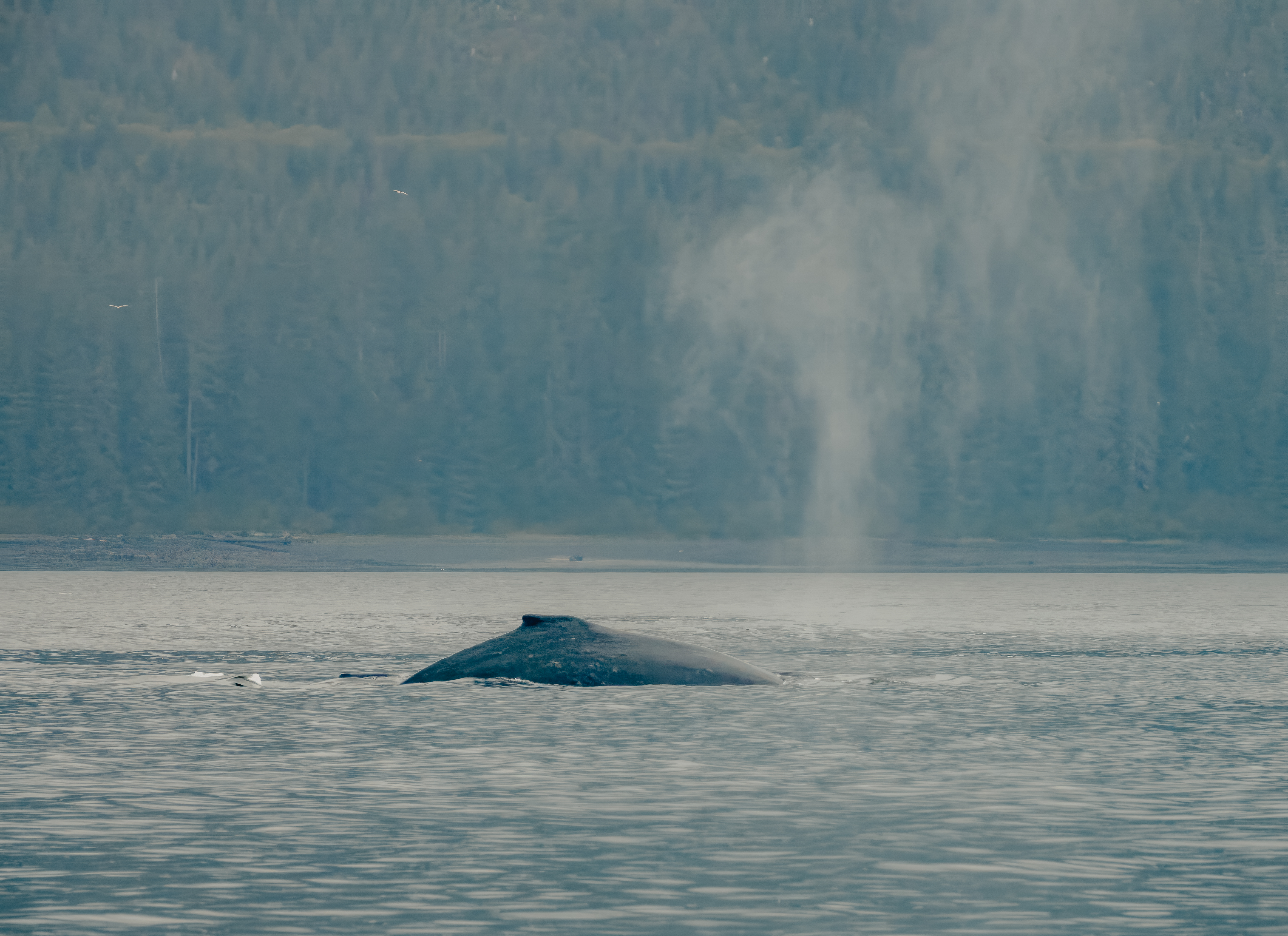 Vancouver → Vancouver (15 nights)