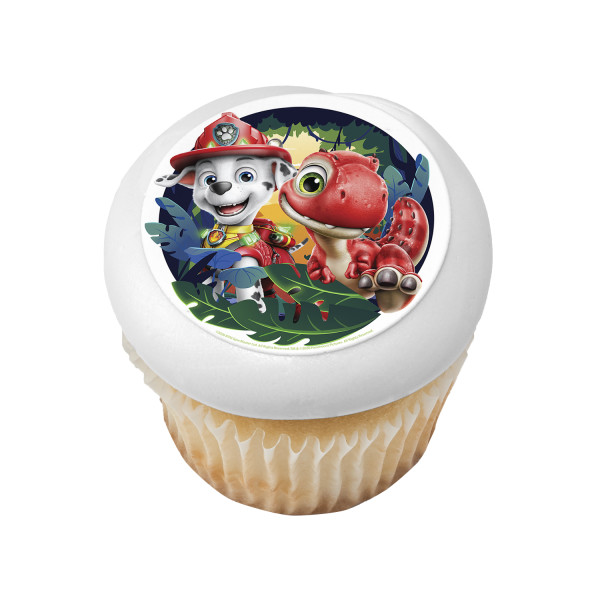 PAW Patrol DINO A-ROAR-ABLE PhotoCake® Edible Image®