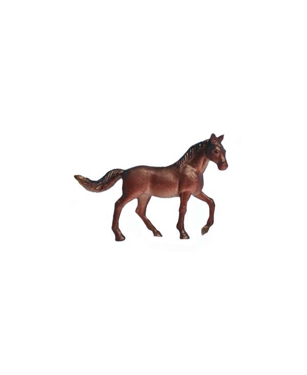 s--B2wacf2W--/pn3uykgmwzvg9is2yoox.jpg