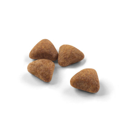 Indoor 27 kibble