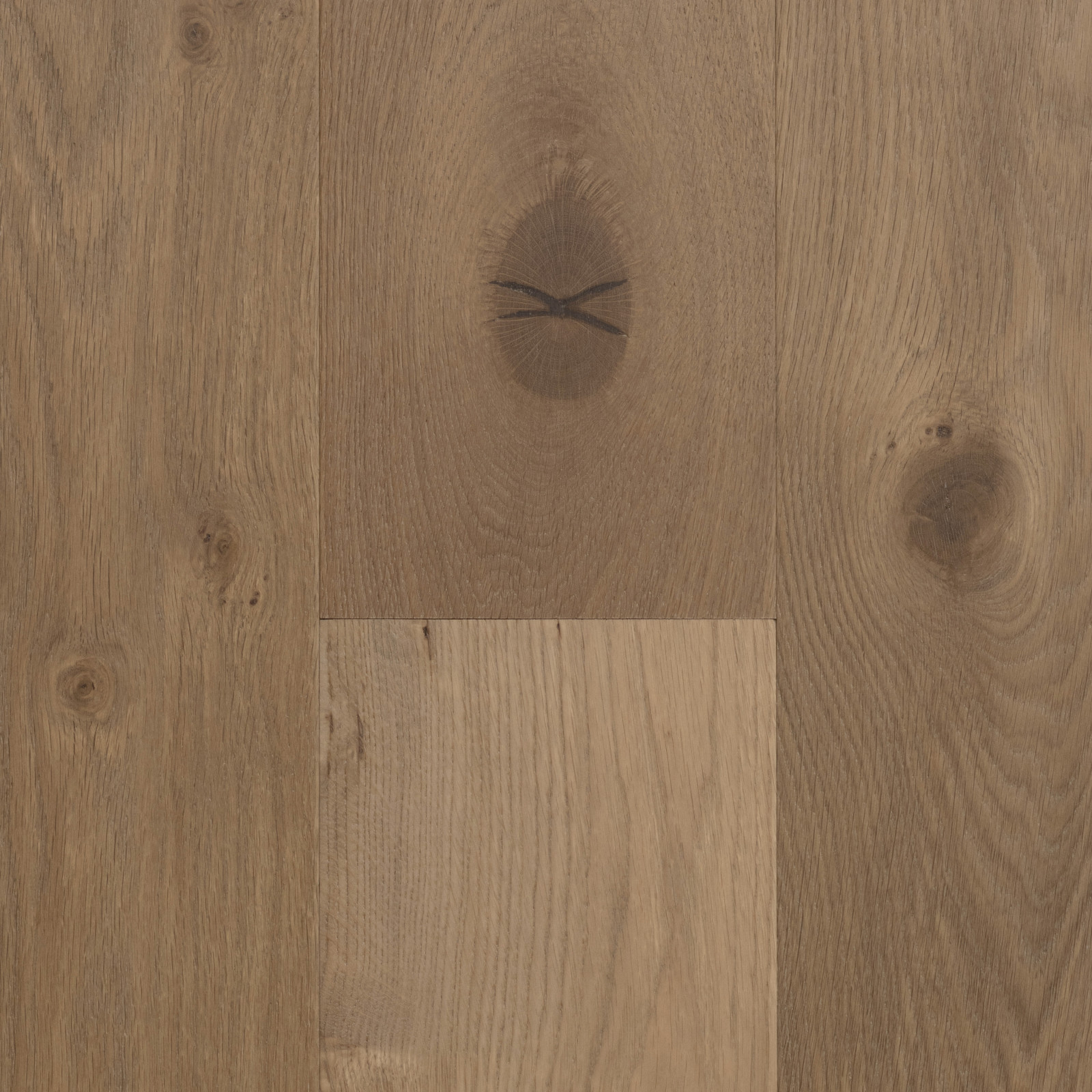 Harbor Harvest view 3