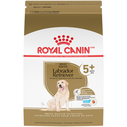 Labrador Retriever Adult 5+ Dry Dog Food