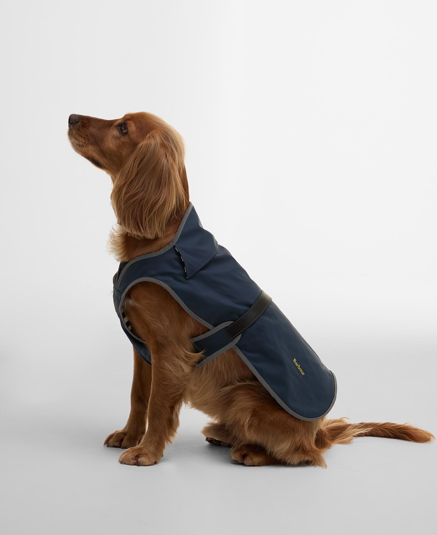 Evie Waterproof Dog Coat image number 0
