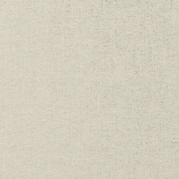Beige fabric swatch fills the frame, showing subtle woven texture and fine speckling; soft neutral tone evokes canvas or linen under diffuse lighting.