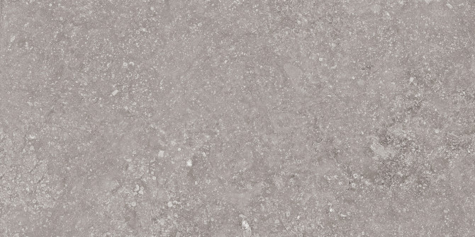 Beljn Castle Stone 12×24 Field Tile Rectified