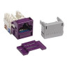Systimax® MGS600 Series GigaSPEED X10D® Information Outlet Cat 6a Violet 25 Per Pack