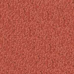 color-rug1