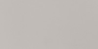 Atrium Light Gray 12×24 Field Tile Polished Rectified