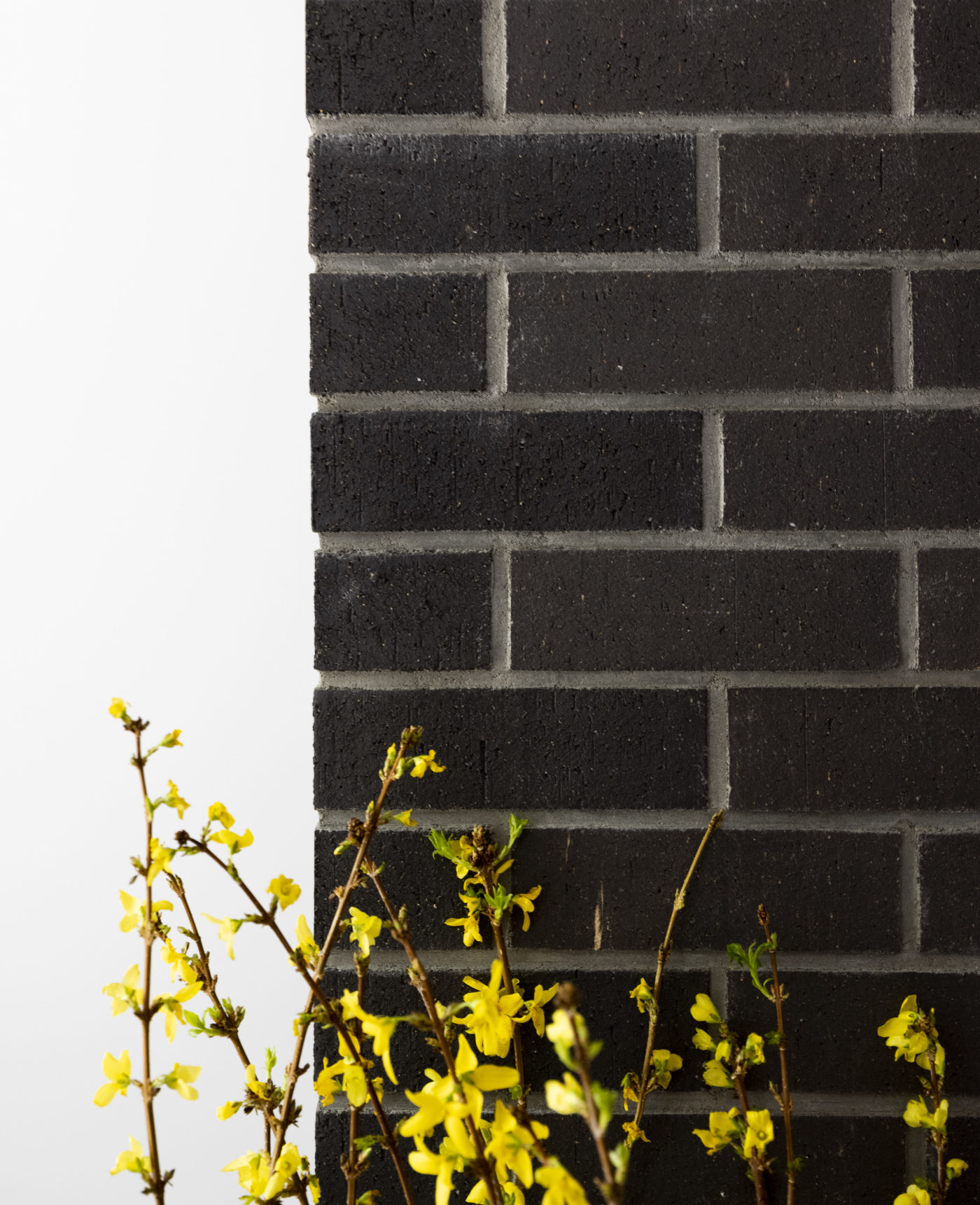 a black brick wall with yellow flowers in front of it.