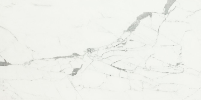 Valentina Statuario 12×24 Field Tile Matte Rectified