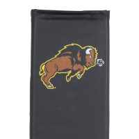 North Dakota State Bison thumbnail 4