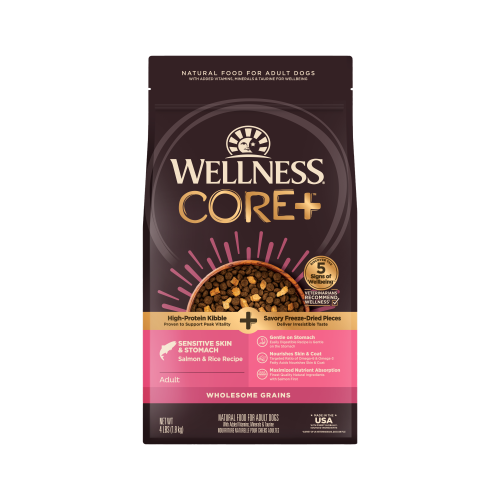 Wellness CORE+ Wholesome Grains Sensitive Skin & Stomach Salmon & Rice Recipe Front packaging