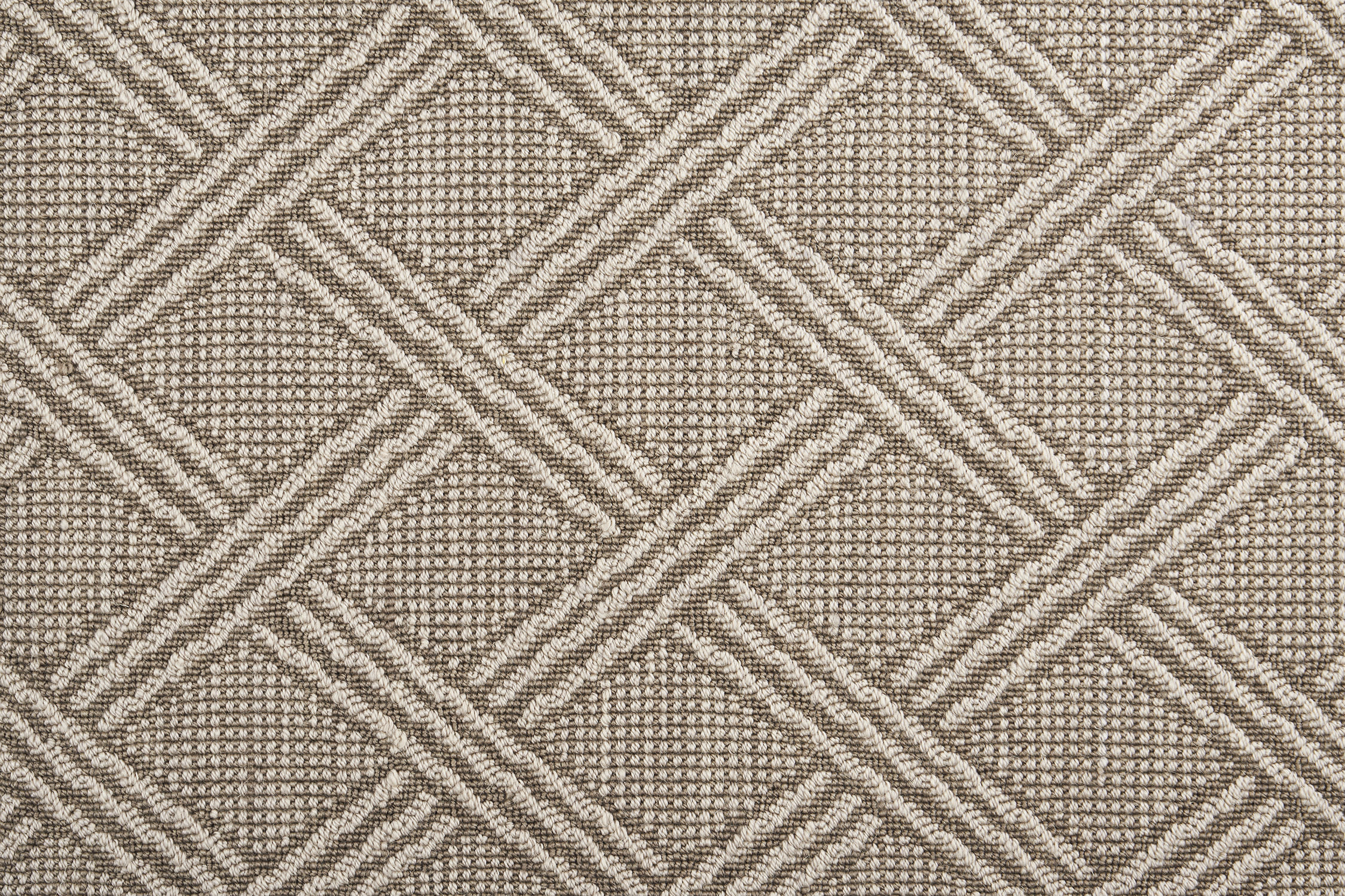 color-rug1