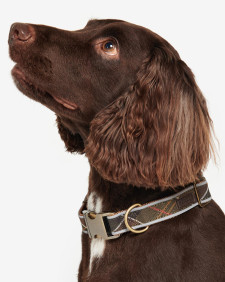 Collare per cani in tartan riflettente 