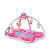 Bright Butterfly Activity Gym