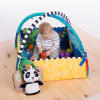 5-in-1 Journey of Discovery™ Activity Gym