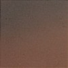 Parkette Mahogany 8×8 Field Tile Matte