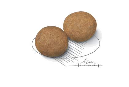 Medium Adult kibble