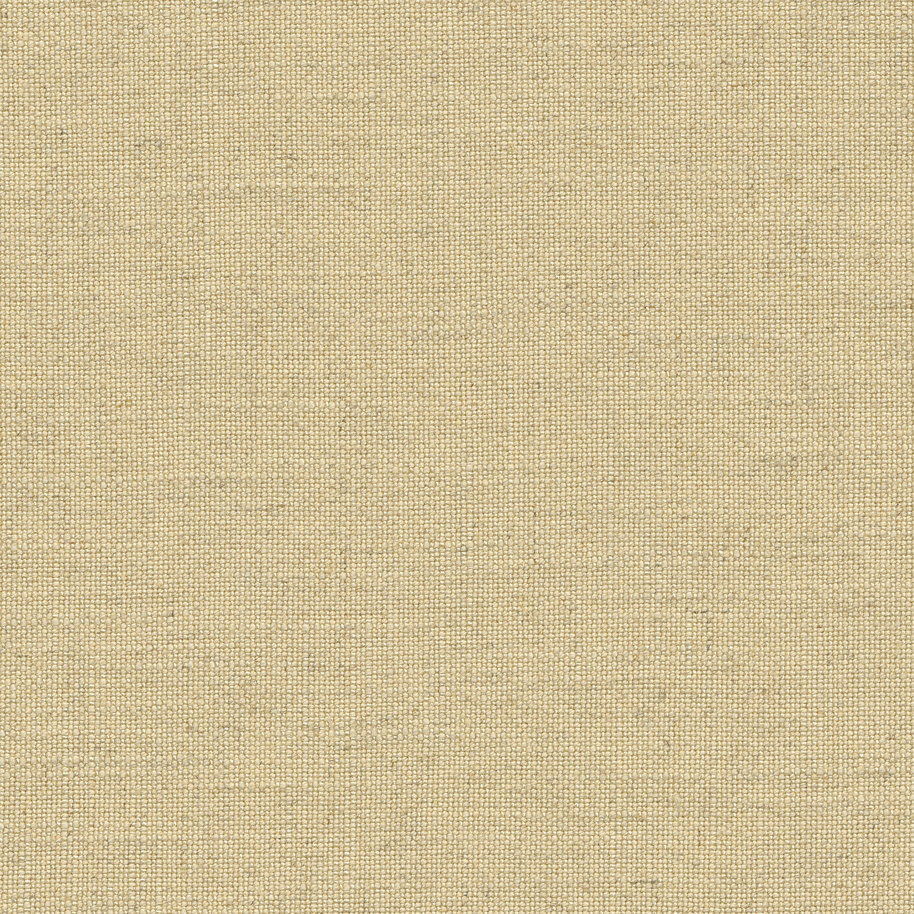 Schelp Schelp-06 Roman Blind