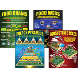 Ecosystems Posters, Set of 4
