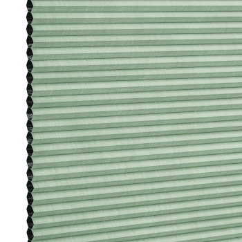 Duette Silk Pine Honeycomb blind