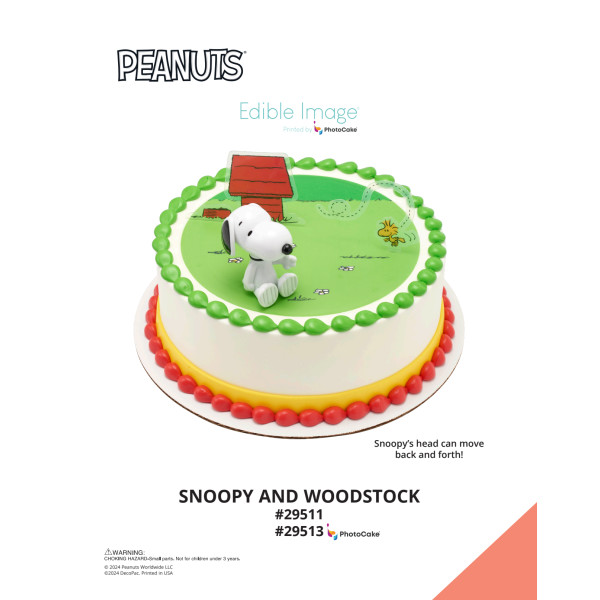 Peanuts® Snoopy® and Woodstock® The Magic of Cakes® PhotoCake® Enhanced Round Background Page