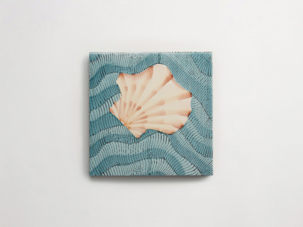 Giovanni De Maio + Cristina Celestino: Thalassa | Decoro 1 | Grande | Matte | Giada 