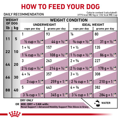 Canine Renal Support + Advanced Mobility Support Dry Dog Food