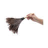 Boardwalk, Professional Ostrich Feather Duster, Gray, 14" Length, 6" Handle, Ostrich Feather, Gray, 8 in