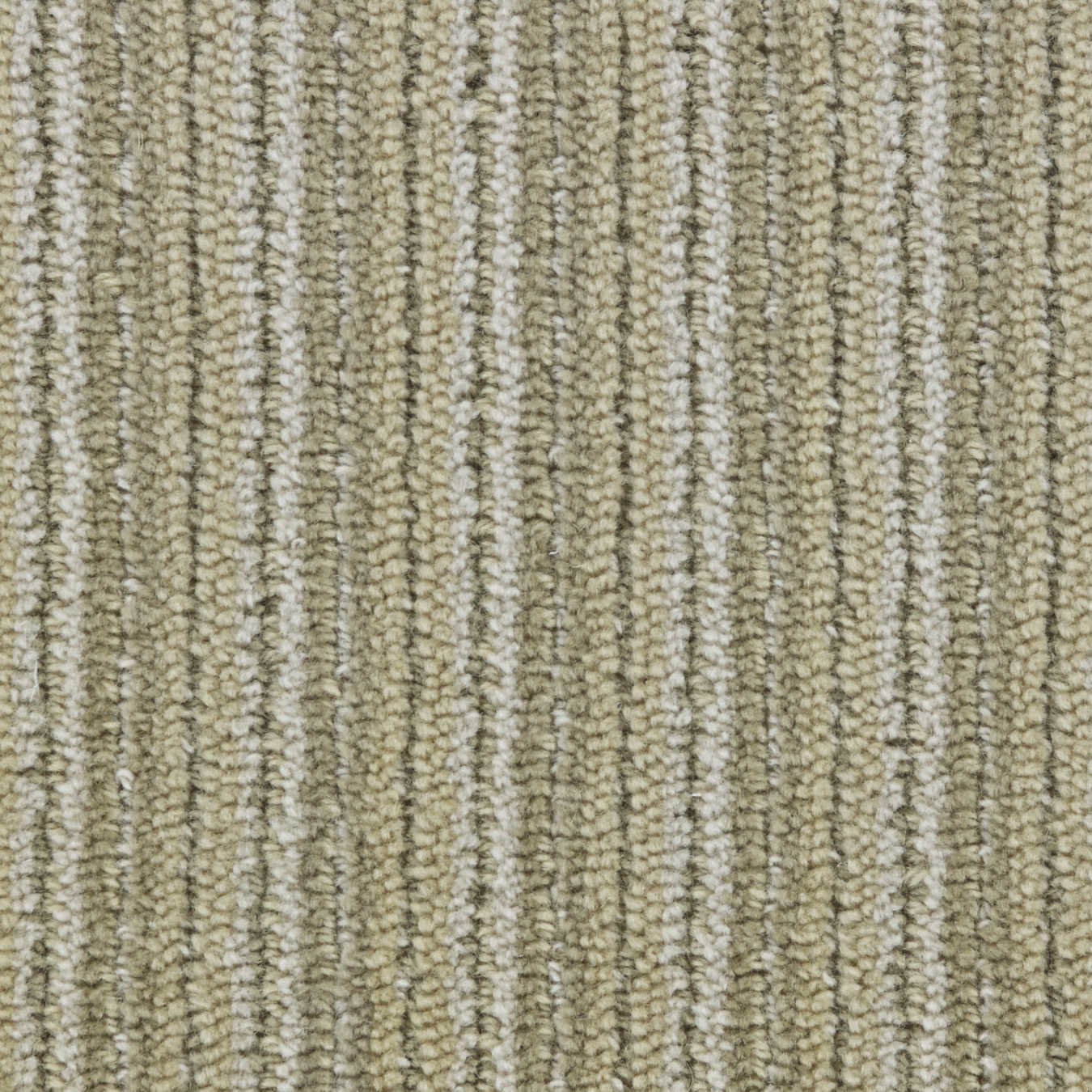 color-rug1