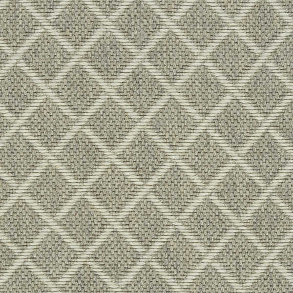 color-rug1