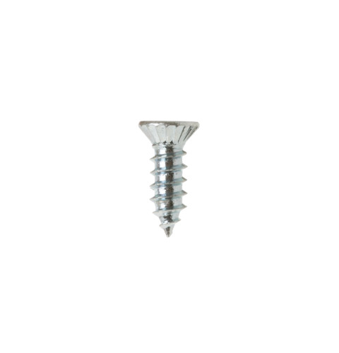 Dryer Screw