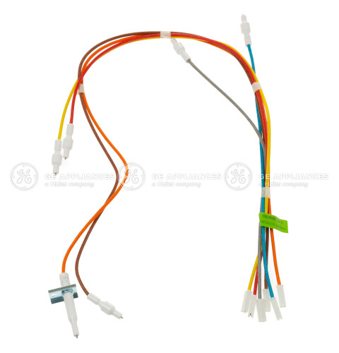 ELECTRODES & HARNESS H. V.