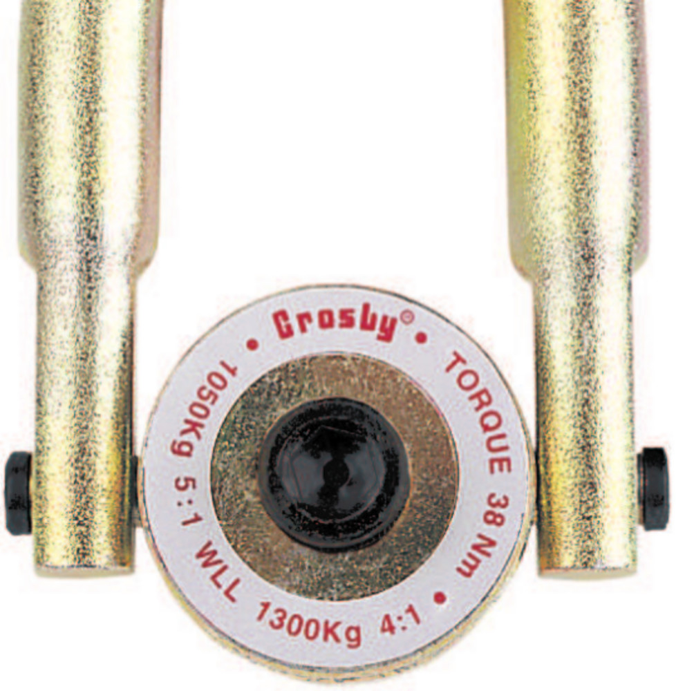 Crosby HR-125M Swivel Hoist Rings image