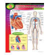 s--Bob74FfH--/p7aueszeoolb01t40i3c.jpg