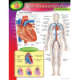 s--Bob74FfH--/p7aueszeoolb01t40i3c.jpg