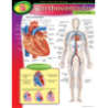 s--Bob74FfH--/p7aueszeoolb01t40i3c.jpg