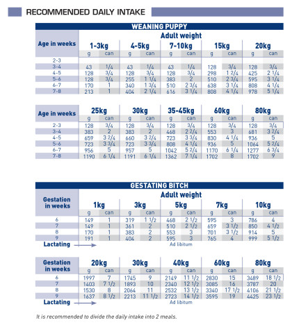 Pediatric starter (wet) feeding guide