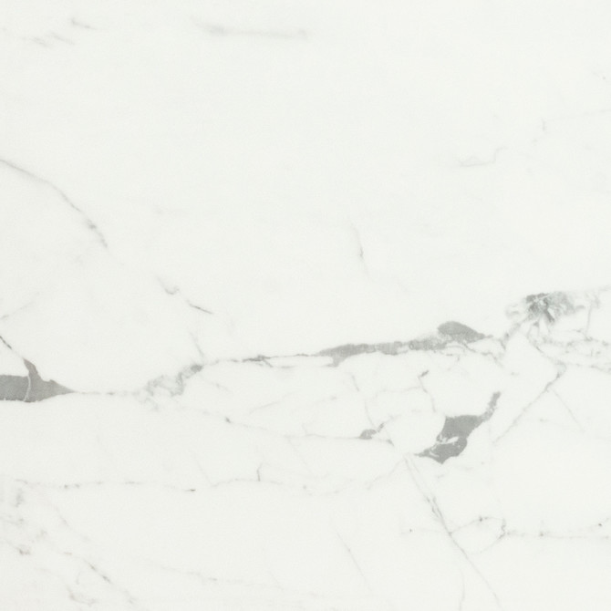 Valentina Statuario 24×24 Field Tile Matte Rectified