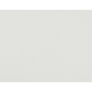4-Ply Railroad Board, White, 22" x 28", 100 Sheets
