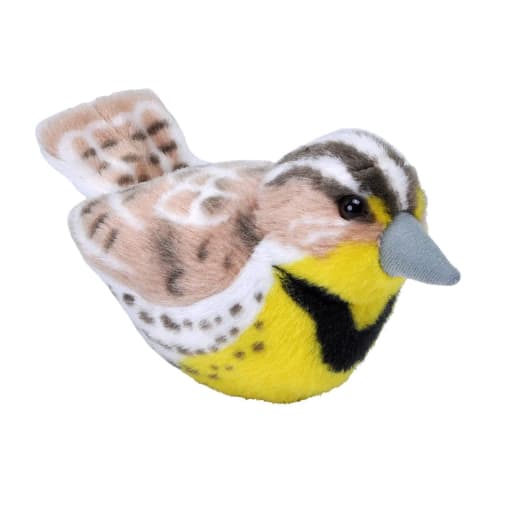 Audubon Bird: Western Meadowlark With Real Bird Call